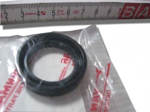 картинка Сальник