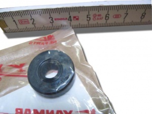 картинка Сальник