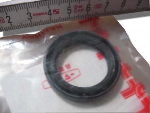 картинка Сальник