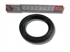 картинка Сальник