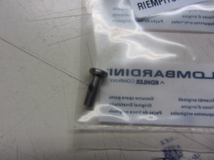 картинка Жиклер ТНВД